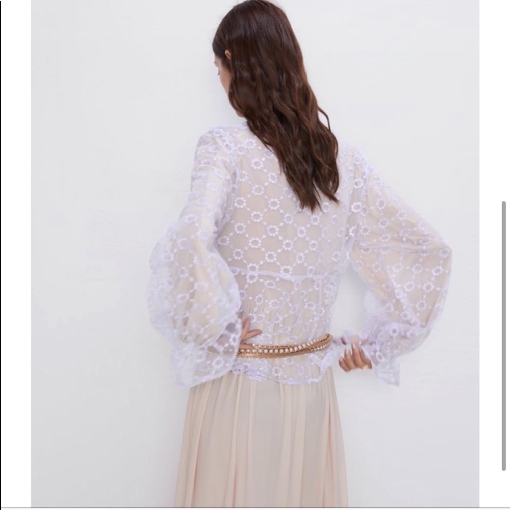 Zara Embroidered Sheer Blouse